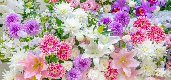 お花